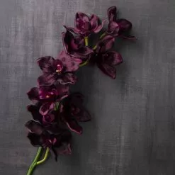 Best deal 🧨 Tropical Cymbidium Spray by Ashland® 😉 -Ashland Online Store 10230919 22