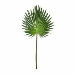 Wholesale ✨ Tropical Fan Palm Stem by Ashland® 👍