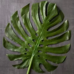 Brand new 🛒 Tropical Monstera Leaf Stem by Ashland® 👏 -Ashland Online Store 10230926 22