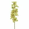 Cheapest 🎁 8 Pack: Pale Green Boat Orchid Stem by Ashland® 🧨 -Ashland Online Store 10230928