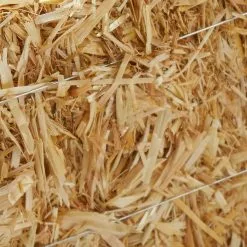 Best Pirce 👍 Decorative Straw Bale by Ashland® ⌛ -Ashland Online Store 10234532 13
