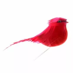 Discount 💯 24 Pack: Small Cardinal Bird by Ashland® ✔️