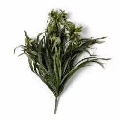 Best deal ⭐ Green Spider Bush Classic Greenery Collection by Ashland® ❤️