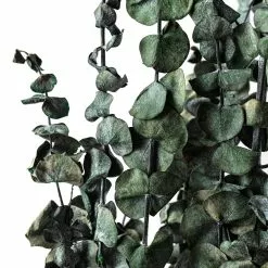 Buy 🔥 Ashland® Washed Eucalyptus Bunch, 4 oz. 🔔 -Ashland Online Store 10259685 20