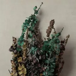 New ⭐ Ashland® Eucalyptus Bunch, 8 oz Tri-Colored ✨ -Ashland Online Store 10259689 25