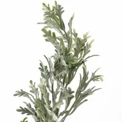 Cheap 💯 Dusty Miller Stem by Ashland® ⭐ -Ashland Online Store 10262981 20