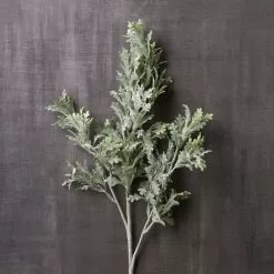 Cheap 💯 Dusty Miller Stem by Ashland® ⭐ -Ashland Online Store 10262981 22