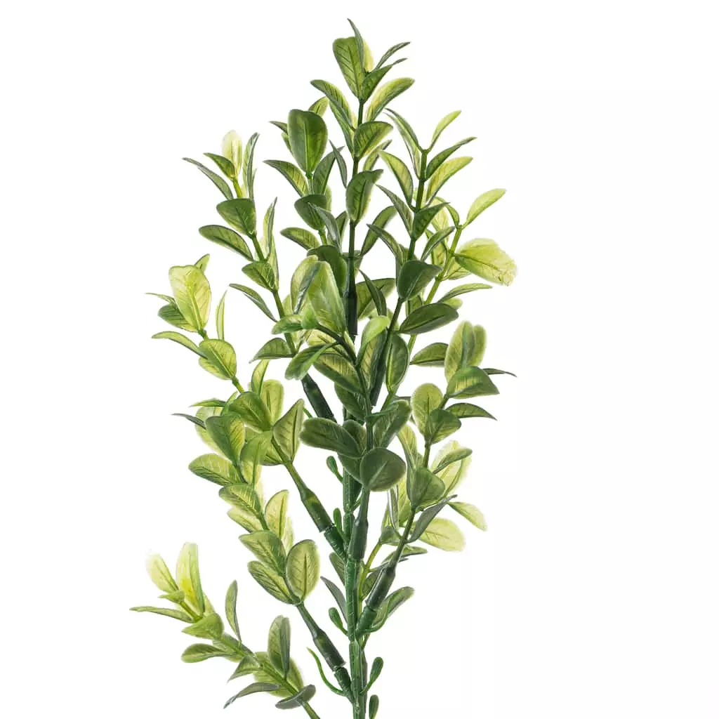 Cheap ๐ Sweet Grass Stem by Ashland® โจ 5 Cheap ๐ Sweet Grass Stem by Ashland® โจ - Image 3