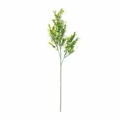 Cheap 😉 Sweet Grass Stem by Ashland® ✨