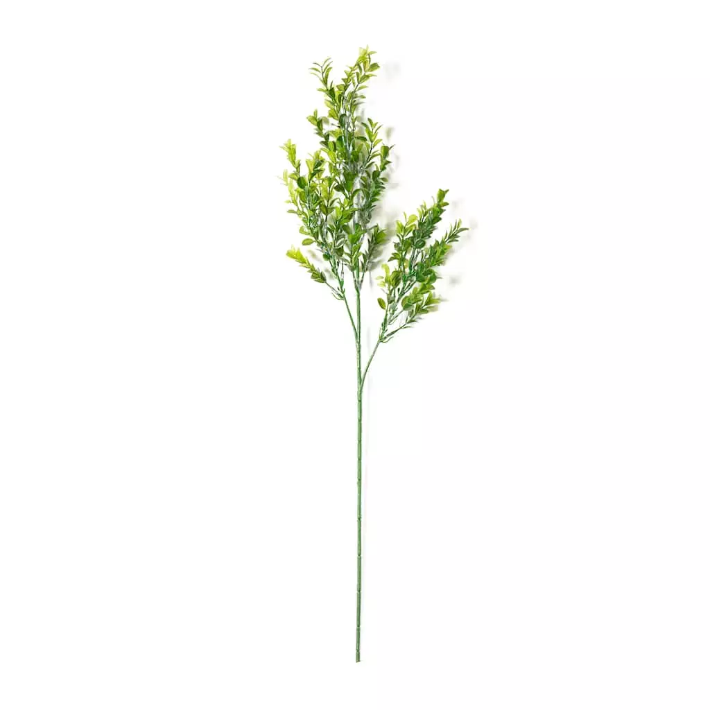 Cheap ๐ Sweet Grass Stem by Ashland® โจ 3 Cheap ๐ Sweet Grass Stem by Ashland® โจ