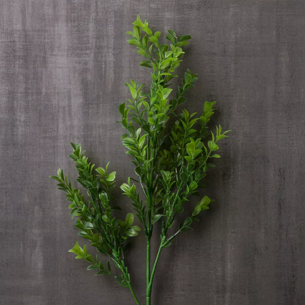 Cheap ๐ Sweet Grass Stem by Ashland® โจ 4 Cheap ๐ Sweet Grass Stem by Ashland® โจ - Image 2