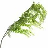 Best Pirce ⌛ 12 Pack: Green Weeping Fern Spray by Ashland® 🥰 -Ashland Online Store 10263117