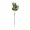 Cheap ❤️ Eucalyptus Stem by Ashland® 🔥 -Ashland Online Store 10263719 21