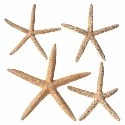 Hot Sale ⌛ Ashland™ Glitter Starfish 😉