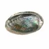 Wholesale ⭐ Blue Abalone Shell by Ashland® 😉