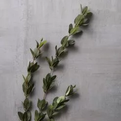 Flash Sale 🥰 Huckleberry Leaf Spray by Ashland® ⭐ -Ashland Online Store 10292555 22