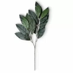 Discount ❤️ Green Magnolia Leaf Spray Floral Essentials Collection by Ashland® ⌛ -Ashland Online Store 10292556 21