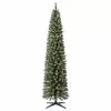 Coupon 👍 7ft. Pre-Lit Artificial Christmas Tree, Clear Lights by Ashland® 🔥