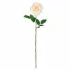 Best reviews of 🧨 12 Pack: White Princess Rose Stem by Ashland® 👏