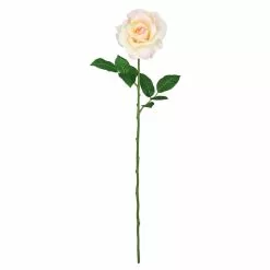 Best reviews of ๐งจ 12 Pack: White Princess Rose Stem by Ashland® ๐