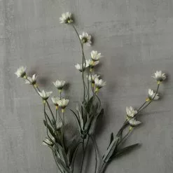 Top 10 ✔️ Wild Daisy Spray by Ashland® 😉 -Ashland Online Store 10302183 25