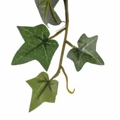 Flash Sale ⌛ Assorted Mini English Ivy Bush by Ashland® 🎉 -Ashland Online Store 10308569 20