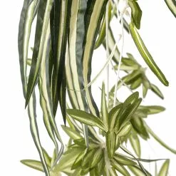 Buy ⌛ Variegated Spider Bush Classic Greenery Collection by Ashland® ✨ 8 Buy ⌛ Variegated Spider Bush Classic Greenery Collection by Ashland® ✨ -Ashland Online Store 10308650 20