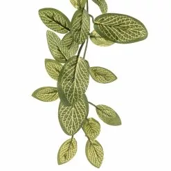 Best reviews of ๐ Fittonia Hanging Bush Classic Greeery by Ashland® โค๏ธ 8 Best reviews of ๐ Fittonia Hanging Bush Classic Greeery by Ashland® โค๏ธ -Ashland Online Store 10308882 20