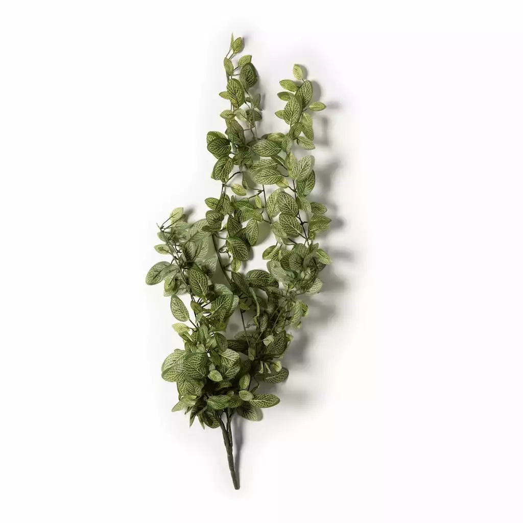 Best reviews of ๐ Fittonia Hanging Bush Classic Greeery by Ashland® โค๏ธ 3 Best reviews of ๐ Fittonia Hanging Bush Classic Greeery by Ashland® โค๏ธ