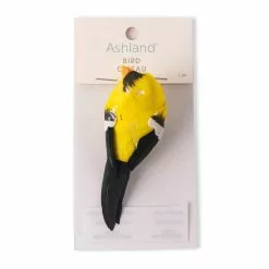 Best reviews of 🛒 Finch Bird by Ashland® ⌛ -Ashland Online Store 10309954 20