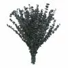 Flash Sale ❤️ Green Eucalyptus Bunch by Ashland®, 16oz. 👍 -Ashland Online Store 10322552 1