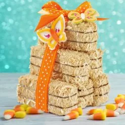 Top 10 😀 Decorative Straw Bales by Ashland® 🔥 -Ashland Online Store 10322651 15