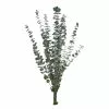 Coupon ✨ Ashland® Eucalyptus Bunch, 4 oz. 🔔 -Ashland Online Store 10333062 1