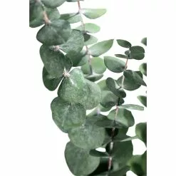 Coupon ✨ Ashland® Eucalyptus Bunch, 4 oz. 🔔 -Ashland Online Store 10333062 2