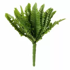 Top 10 ⭐ Ashland® Fern Collection Mini Boston Fern Bush ❤️