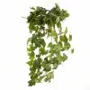 Cheapest ✔️ German Ivy Bush Ivy Collection by Ashland® ✔️ -Ashland Online Store 10335273 01