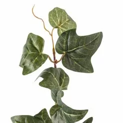 Cheapest ✔️ German Ivy Bush Ivy Collection by Ashland® ✔️ -Ashland Online Store 10335273 20