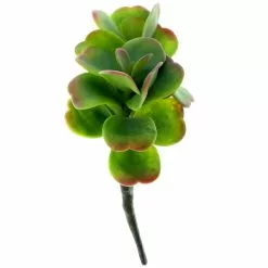 Buy 💯 Green & Orange Succulent Pick by Ashland® 🤩