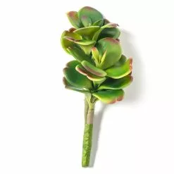 Buy 💯 Green & Orange Succulent Pick by Ashland® 🤩 -Ashland Online Store 10337814 21