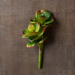 Buy 💯 Green & Orange Succulent Pick by Ashland® 🤩 -Ashland Online Store 10337814 25