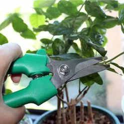 Deals 🔥 Stainless Steel Floral Snips by Ashland™ ⌛ -Ashland Online Store 10355364 3