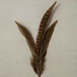 Budget 🔥 Pheasant Feather Picks by Ashland® ⭐ -Ashland Online Store 10355706 25