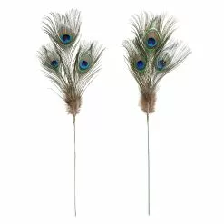 Promo ⌛ Peacock Feather Picks by Ashland® 💯