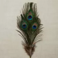 Promo ⌛ Peacock Feather Picks by Ashland® 💯 -Ashland Online Store 10355707 25