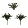 Cheapest ⭐ 12 Pack: Assorted Cordyline Bush by Ashland® ❤️ -Ashland Online Store 10356827 1