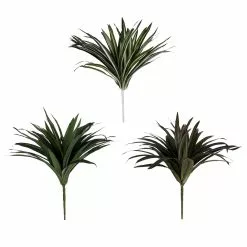 Cheapest ⭐ 12 Pack: Assorted Cordyline Bush by Ashland® ❤️