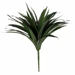 Budget 🔔 Assorted Cordyline Bush by Ashland® ❤️ -Ashland Online Store 10356827 2
