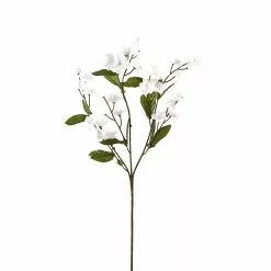 Best deal 👏 Double Baby's Breath Stem by Ashland® ⌛