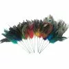 New ✨ Assorted Colorful Feather Pick by Ashland® 🥰 -Ashland Online Store 10373846 6