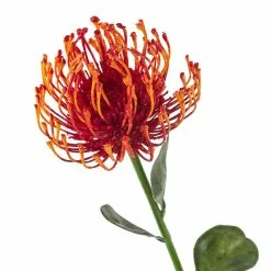Hot Sale ⌛ Tropical Needle Protea Spray by Ashland® ✨ -Ashland Online Store 10381033 20